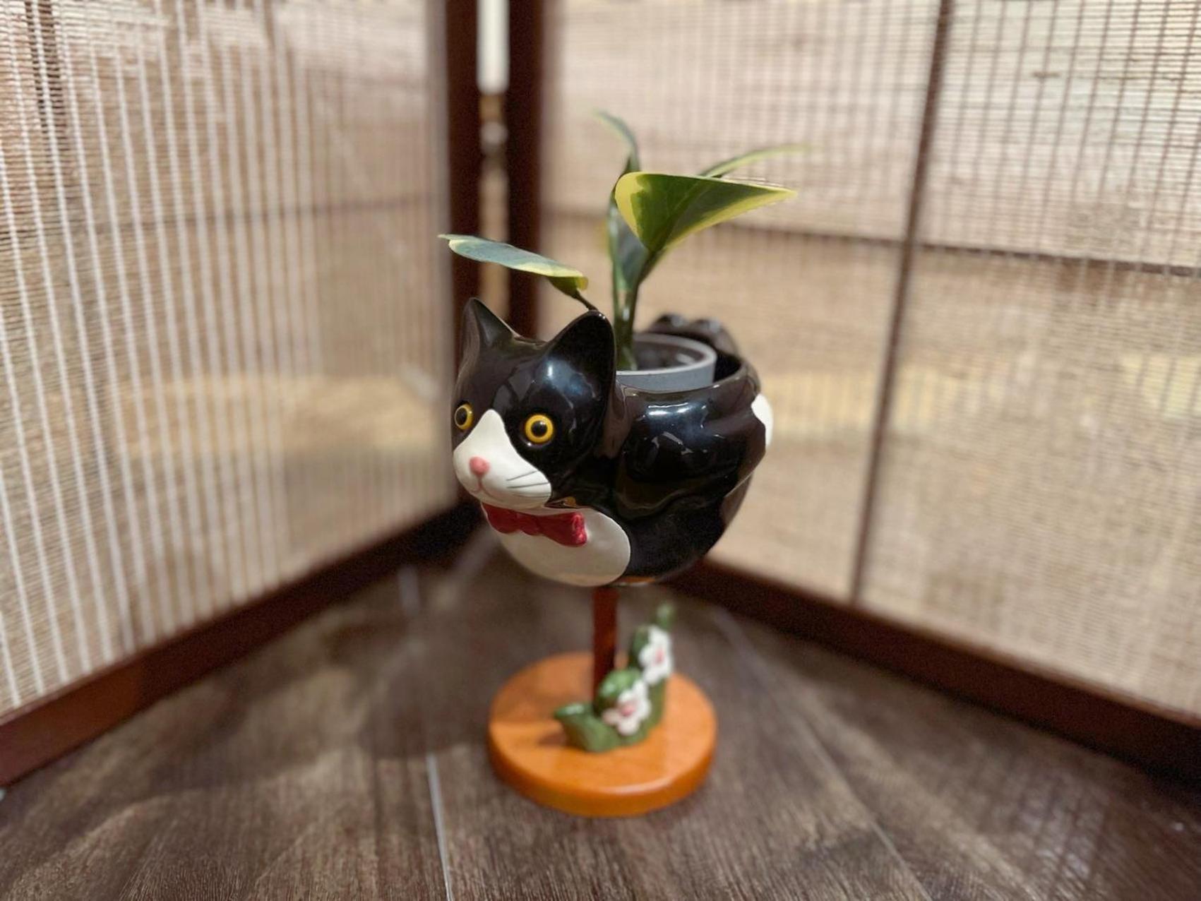 Yume夢 黒門店 Apartment Osaka Bagian luar foto